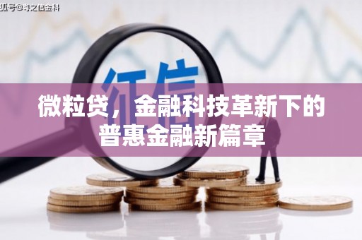 雨花微粒贷，金融科技革新下的普惠金融新篇章