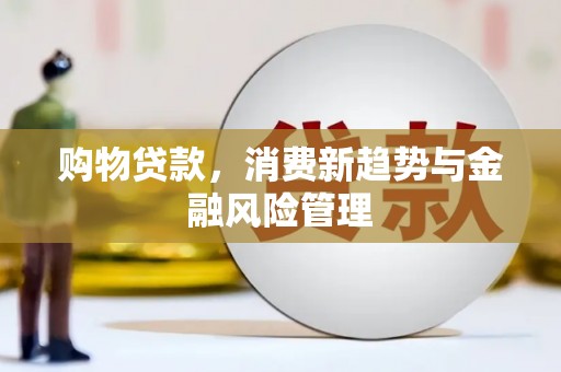 雨花购物贷款，消费新趋势与金融风险管理