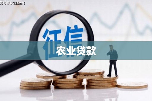 雨花农业贷款