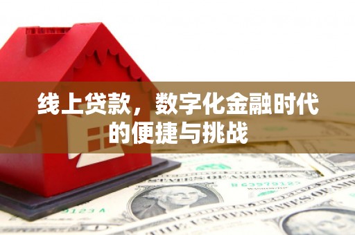 雨花线上贷款，数字化金融时代的便捷与挑战