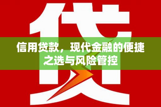 雨花信用贷款，现代金融的便捷之选与风险管控