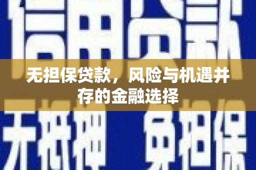 雨花无担保贷款，风险与机遇并存的金融选择