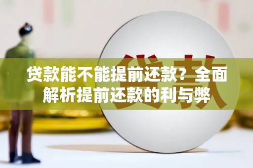 雨花贷款能不能提前还款？全面解析提前还款的利与弊