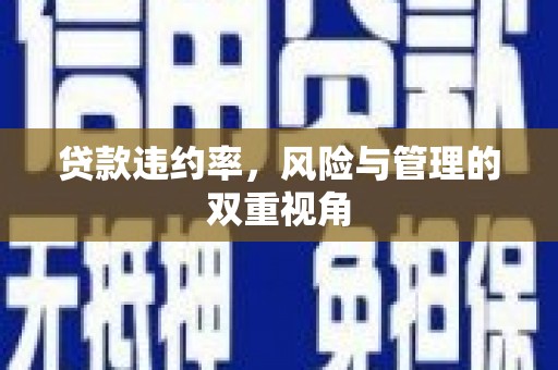雨花贷款违约率，风险与管理的双重视角