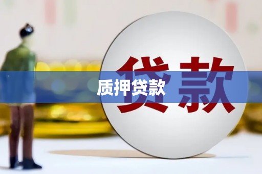 雨花质押贷款
