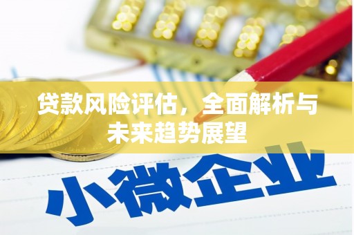 雨花贷款风险评估，全面解析与未来趋势展望