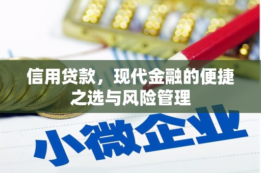 雨花信用贷款，现代金融的便捷之选与风险管理