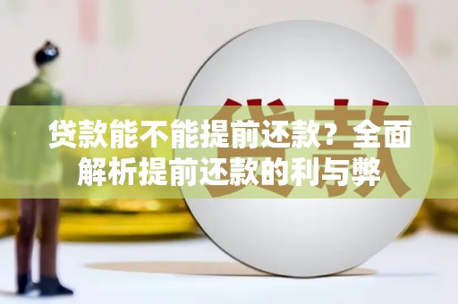 雨花贷款能不能提前还款？全面解析提前还款的利与弊