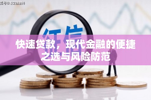 雨花快速贷款，现代金融的便捷之选与风险防范