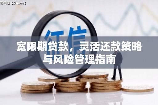 雨花宽限期贷款，灵活还款策略与风险管理指南