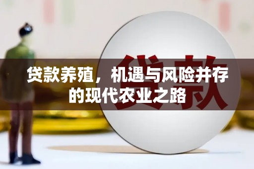 雨花贷款养殖，机遇与风险并存的现代农业之路