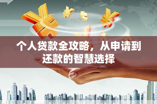 雨花个人贷款全攻略，从申请到还款的智慧选择