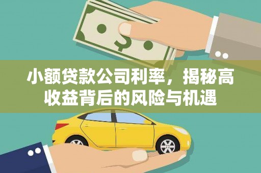 雨花小额贷款公司利率，揭秘高收益背后的风险与机遇