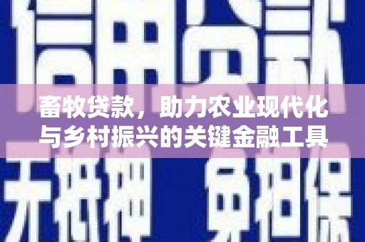 雨花畜牧贷款，助力农业现代化与乡村振兴的关键金融工具