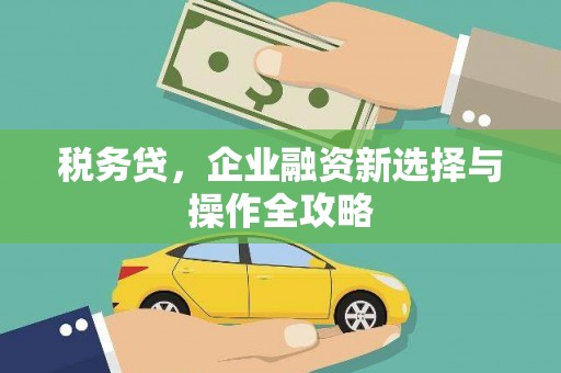 雨花税务贷，企业融资新选择与操作全攻略