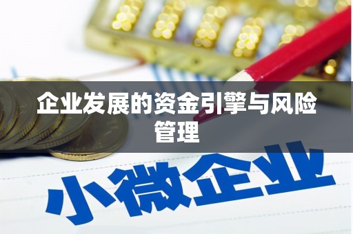 雨花企业发展的资金引擎与风险管理