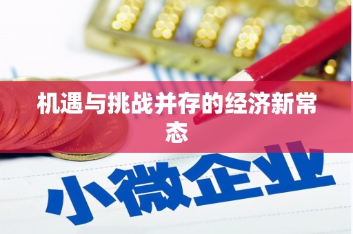雨花机遇与挑战并存的经济新常态