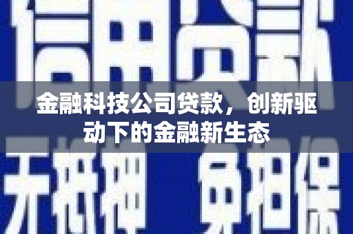 雨花金融科技公司贷款，创新驱动下的金融新生态