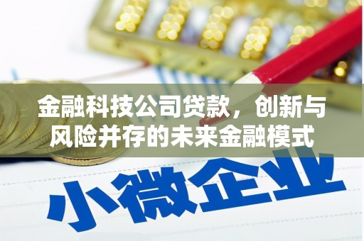 雨花金融科技公司贷款，创新与风险并存的未来金融模式