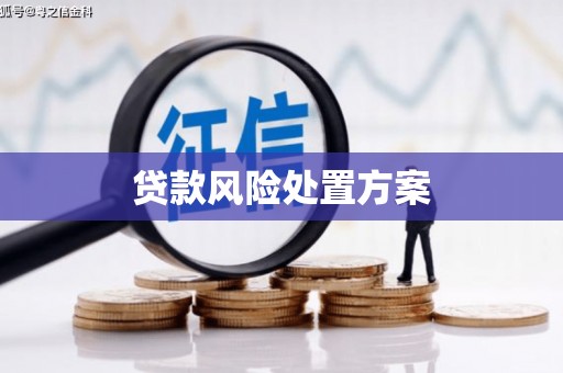 雨花贷款风险处置方案