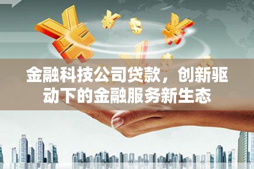 雨花金融科技公司贷款，创新驱动下的金融服务新生态