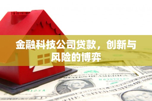 雨花金融科技公司贷款，创新与风险的博弈