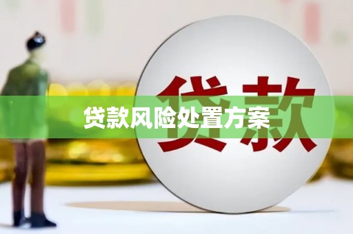 雨花贷款风险处置方案