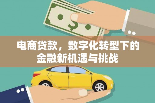 雨花电商贷款，数字化转型下的金融新机遇与挑战