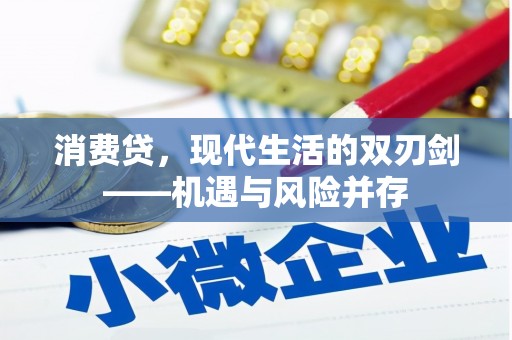 雨花消费贷，现代生活的双刃剑——机遇与风险并存