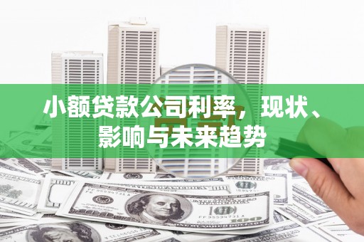 雨花小额贷款公司利率，现状、影响与未来趋势