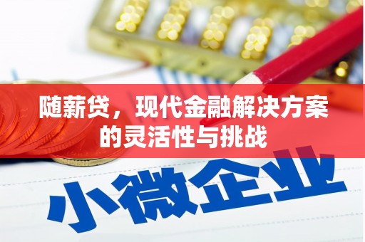 雨花随薪贷，现代金融解决方案的灵活性与挑战