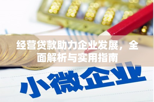 雨花经营贷款助力企业发展，全面解析与实用指南