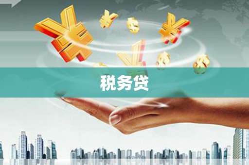 雨花税务贷
