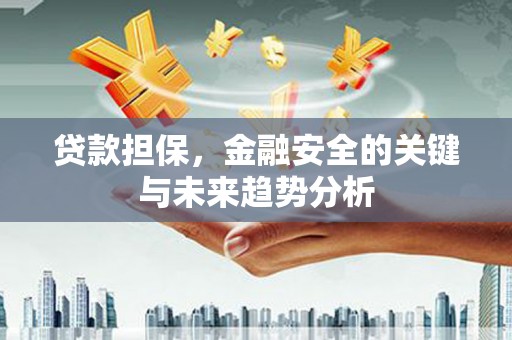 雨花贷款担保，金融安全的关键与未来趋势分析