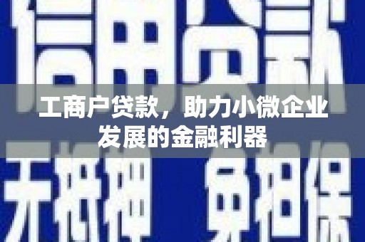雨花工商户贷款，助力小微企业发展的金融利器