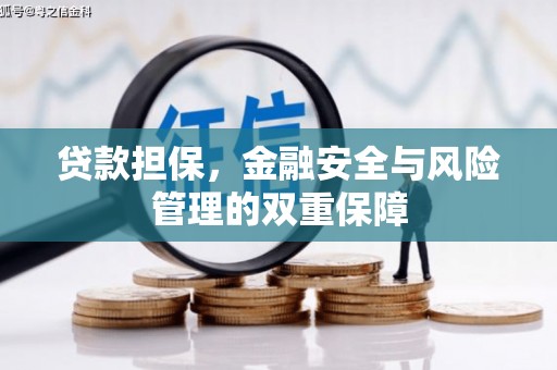 雨花贷款担保，金融安全与风险管理的双重保障