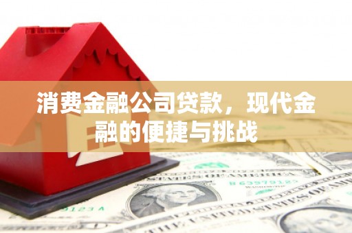 雨花消费金融公司贷款，现代金融的便捷与挑战