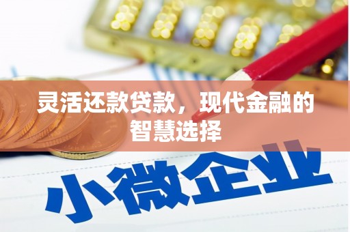 雨花灵活还款贷款，现代金融的智慧选择