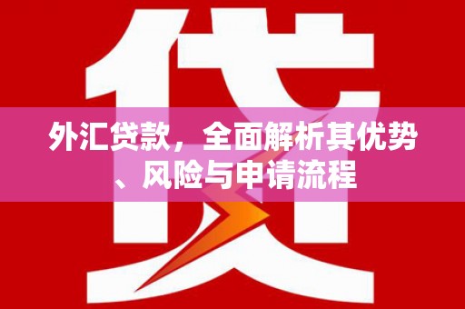 雨花外汇贷款，全面解析其优势、风险与申请流程