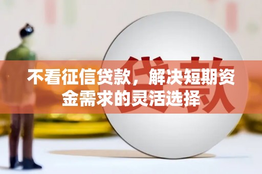 雨花不看征信贷款，解决短期资金需求的灵活选择