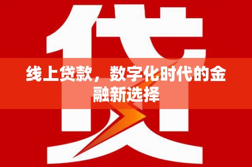 雨花线上贷款，数字化时代的金融新选择