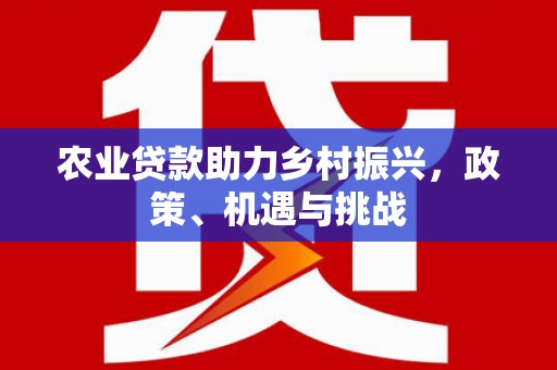 雨花农业贷款助力乡村振兴，政策、机遇与挑战