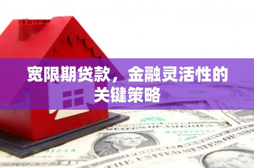 雨花宽限期贷款，金融灵活性的关键策略