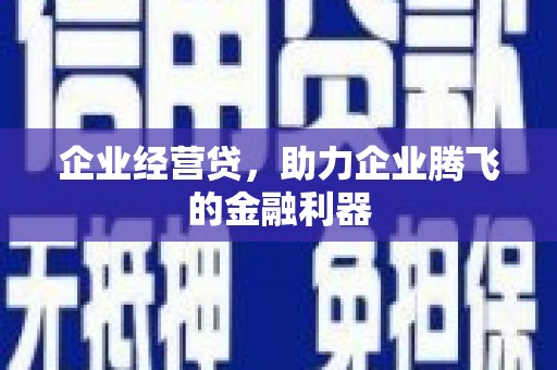 雨花企业经营贷，助力企业腾飞的金融利器