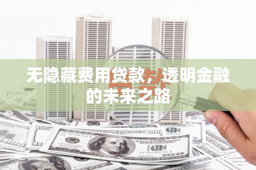 雨花无隐藏费用贷款，透明金融的未来之路