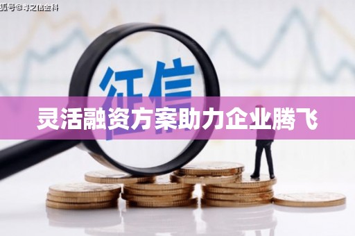 雨花灵活融资方案助力企业腾飞