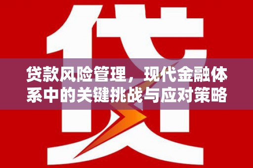 雨花贷款风险管理，现代金融体系中的关键挑战与应对策略