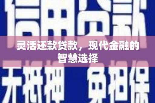 雨花灵活还款贷款，现代金融的智慧选择