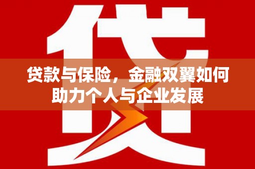 雨花贷款与保险，金融双翼如何助力个人与企业发展