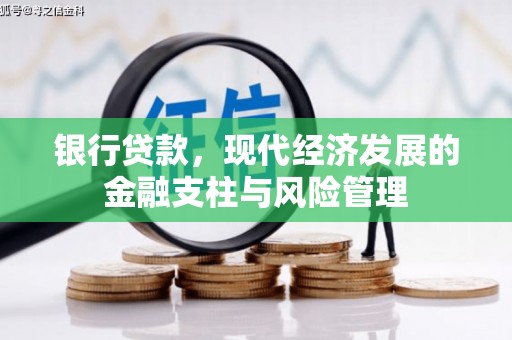雨花银行贷款，现代经济发展的金融支柱与风险管理